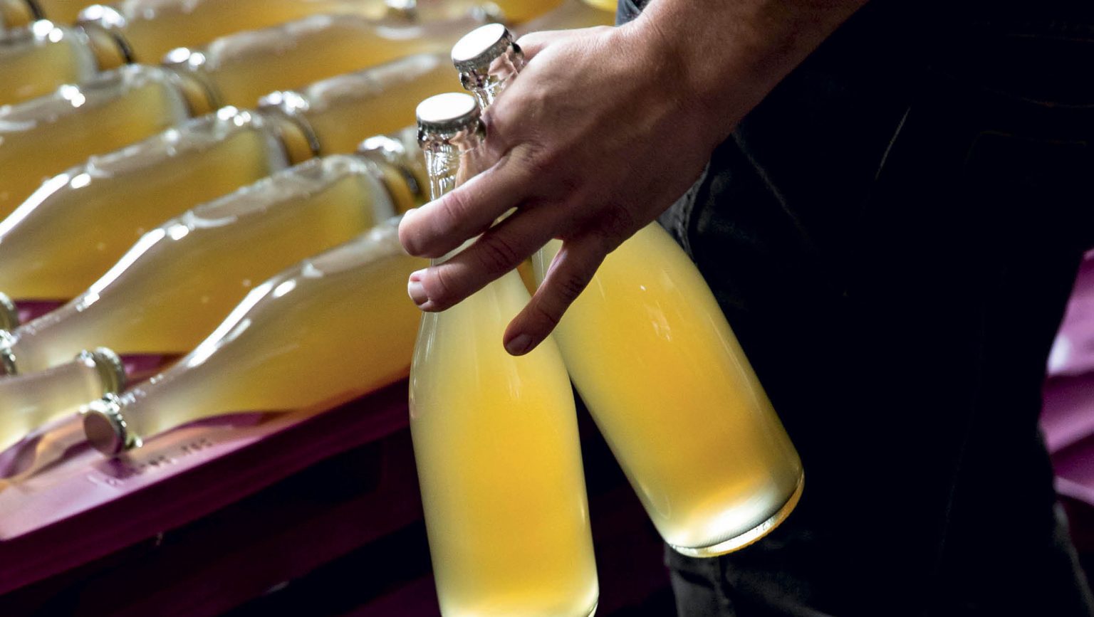 Pet Nat Perfection: A Toast to Nature’s Bubbly Creation