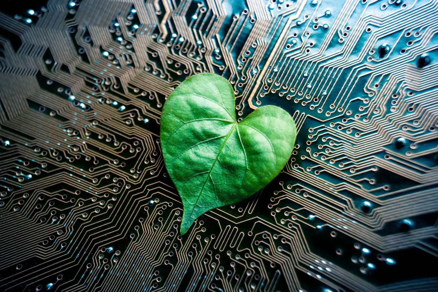 Understanding https://j88np.com/: An In-Depth Look at Its Meaning, Application, and Significance