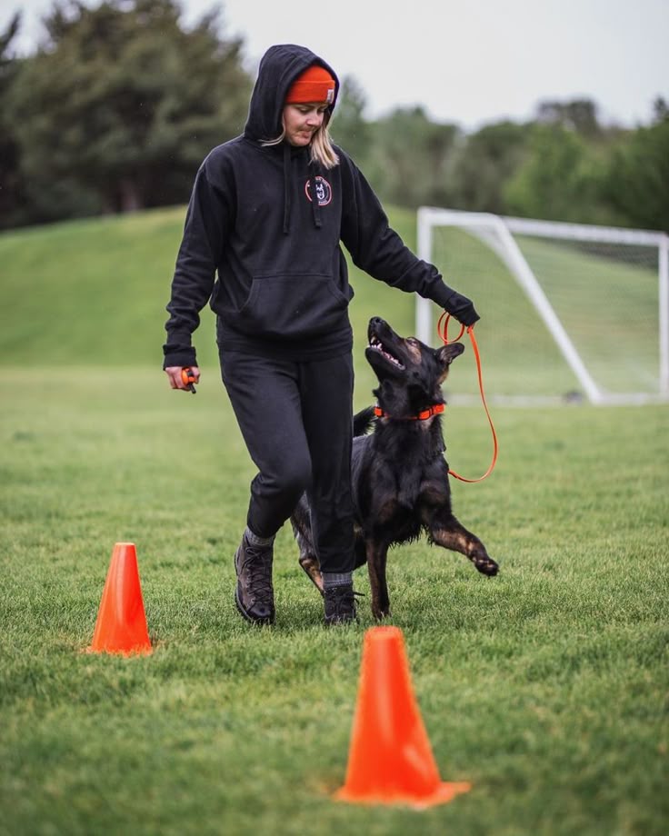 Best Dog Training in Beverly Hills for Reactive Dogs