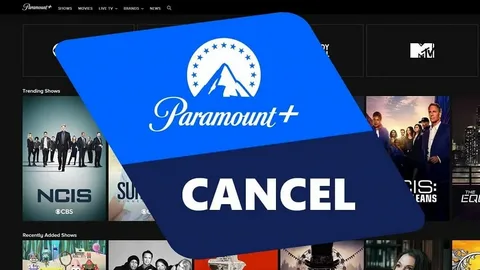 How to Make the Most of Your Paramount Plus Subscription